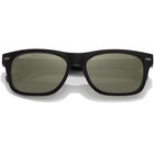 BORREGO LARGE, Shiny Black-Mineral Polarized 555nm Silver Cat 3 to 3, hi-res image number null